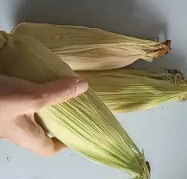 Choclo asado